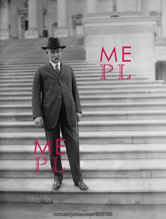 : Albert B. Fall (1861-1944), posing on the ? : Albert B. Fall (1861-1944), posing on the ?