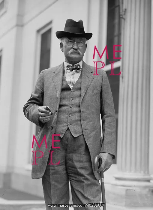 : Albert B. Fall (1861-1944), Secretary of ? : Albert B. Fall (1861-1944), Secretary of ?
