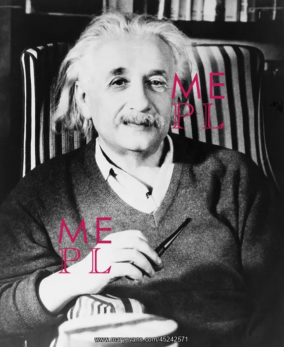 : Albert Einstein (1879-1955), the most important ? : Albert Einstein (1879-1955), the most important ?