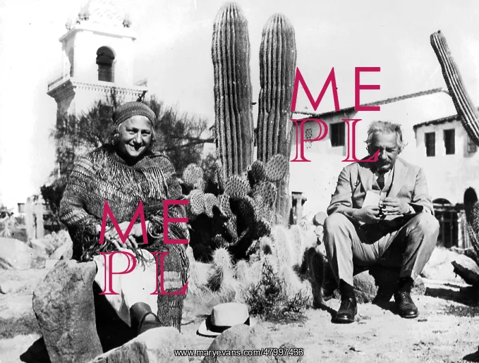 : Albert Einstein, German physicist : Albert Einstein, German physicist