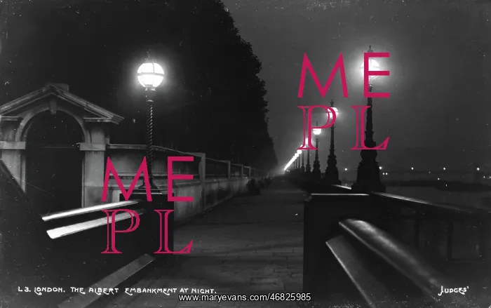: The Albert Embankment at Night : The Albert Embankment at Night