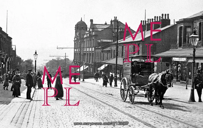  : Albert Road, Colne, early 1900s