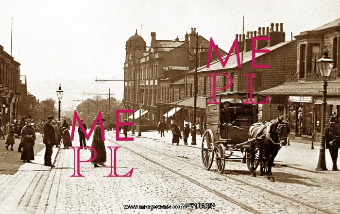  : Albert Road, Colne, early 1900s