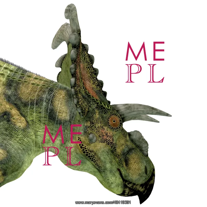 : Albertaceratops dinosaur head : Albertaceratops dinosaur head