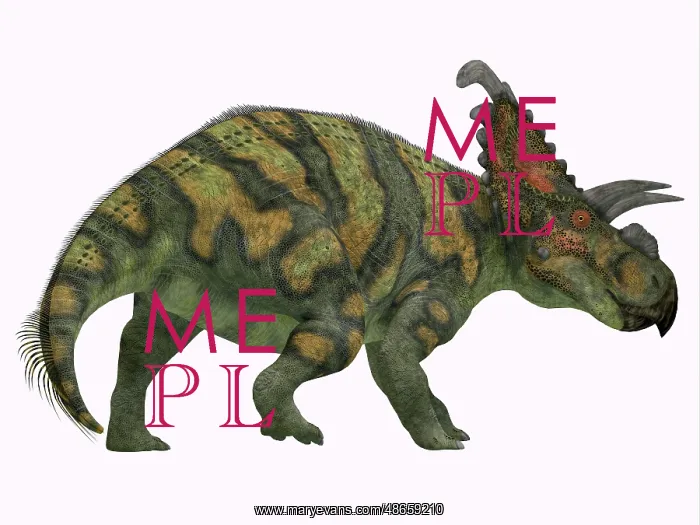 : Albertaceratops dinosaur, side profile : Albertaceratops dinosaur, side profile