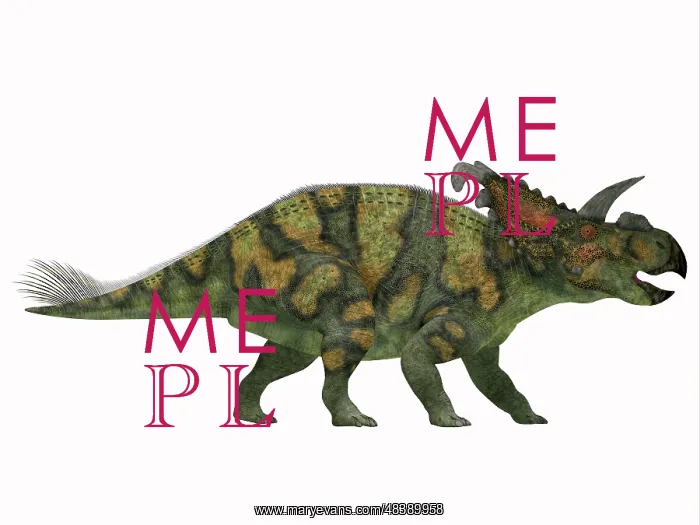 : Albertaceratops dinosaur from the Upper Cretaceous Era : Albertaceratops dinosaur from the Upper Cretaceous Era