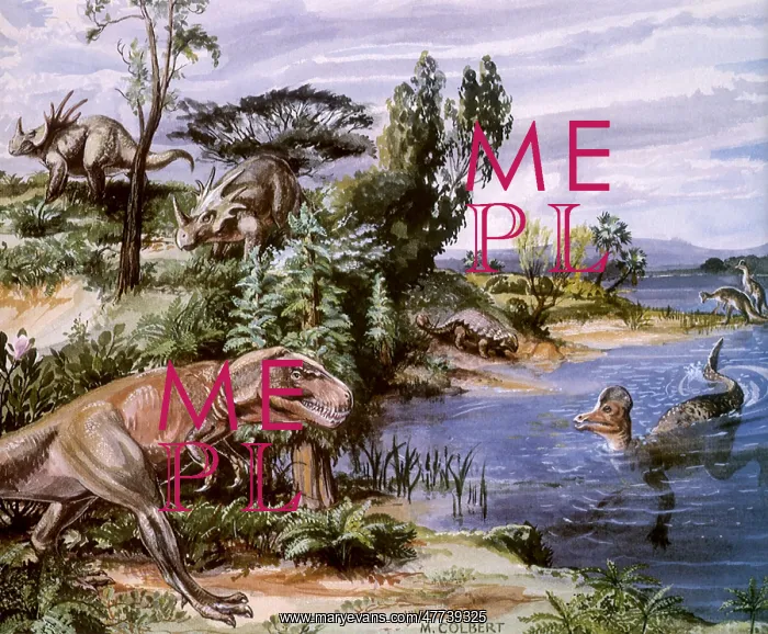 : Albertasaurus, Corythosaurus, Ankylosaurus, & Styracosaurus : Albertasaurus, Corythosaurus, Ankylosaurus, & Styracosaurus