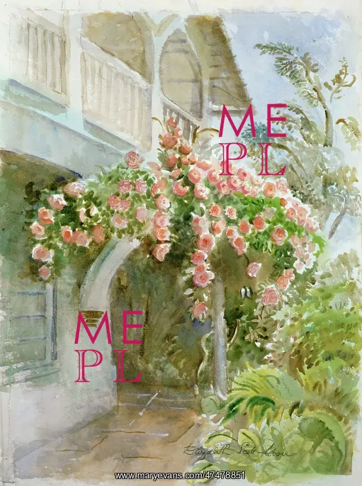 : Albertine roses on my balcony : Albertine roses on my balcony