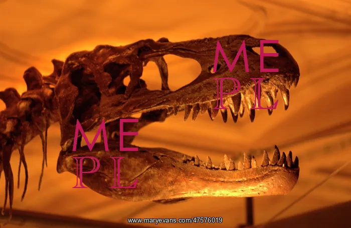 : Albertosaurus : Albertosaurus