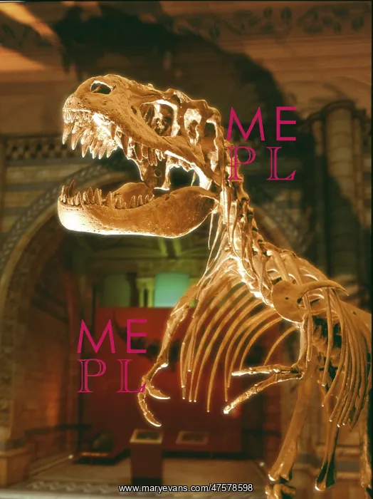 : Albertosaurus : Albertosaurus