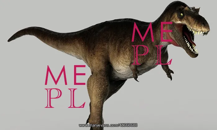 : Albertosaurus dinosaur on gray background : Albertosaurus dinosaur on gray background