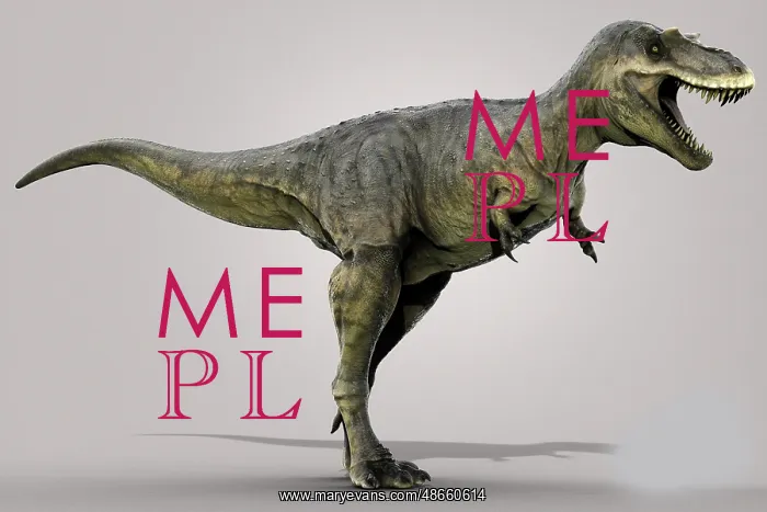 : Albertosaurus dinosaur on gray background : Albertosaurus dinosaur on gray background
