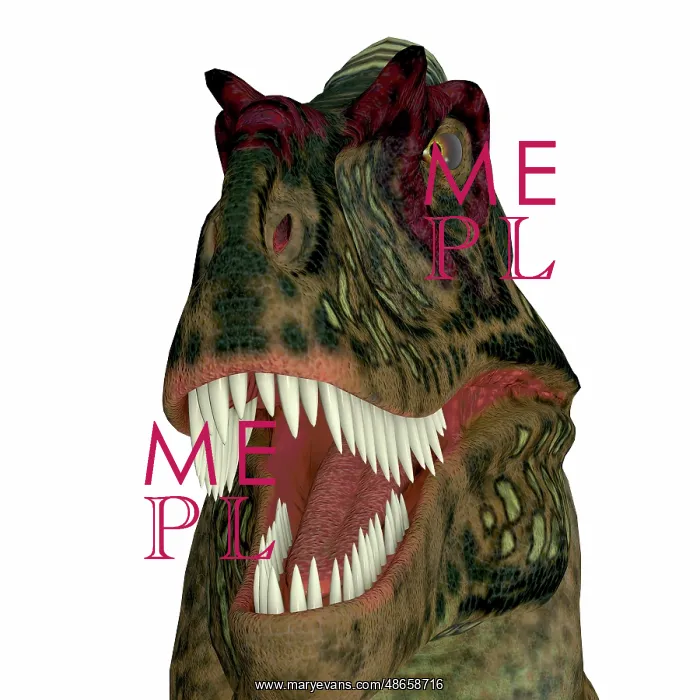 : Albertosaurus dinosaur head : Albertosaurus dinosaur head