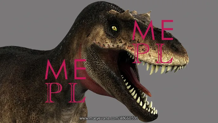 : Albertosaurus dinosaur head on gray background : Albertosaurus dinosaur head on gray background
