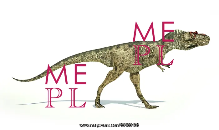 : Albertosaurus dinosaur on white background : Albertosaurus dinosaur on white background
