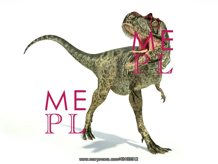 : Albertosaurus dinosaur on white background : Albertosaurus dinosaur on white background