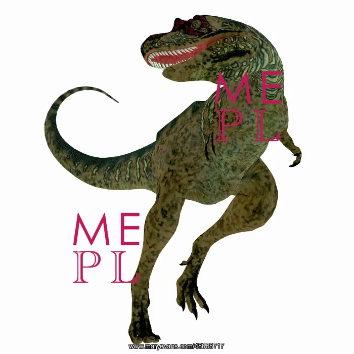 : Albertosaurus dinosaur on white background : Albertosaurus dinosaur on white background