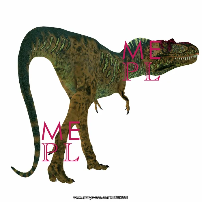 : Albertosaurus dinosaur on white background : Albertosaurus dinosaur on white background
