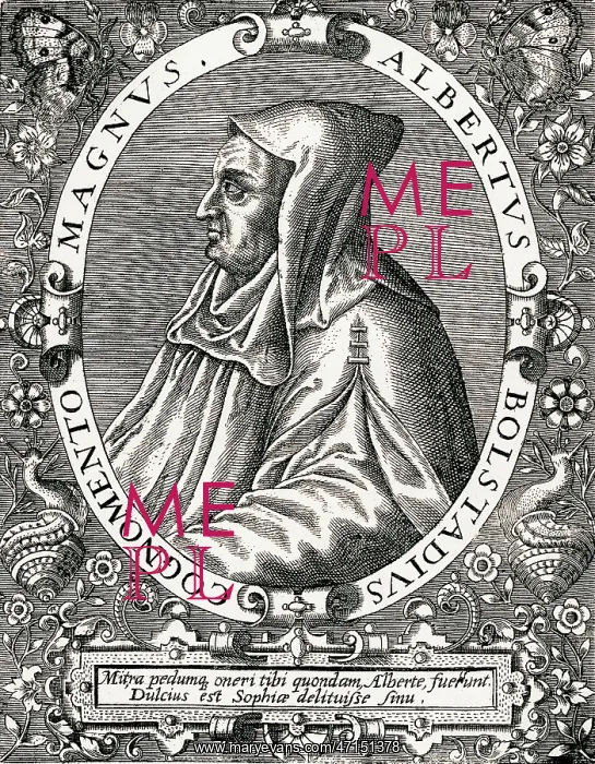 : Albertus Magnus : Albertus Magnus