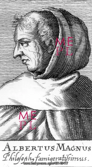 : Albertus Magnus : Albertus Magnus
