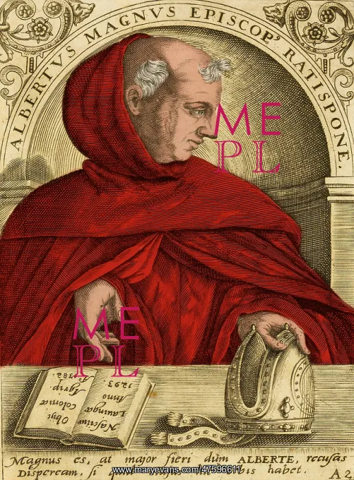 : Albertus Magnus, Medieval Philosopher : Albertus Magnus, Medieval Philosopher