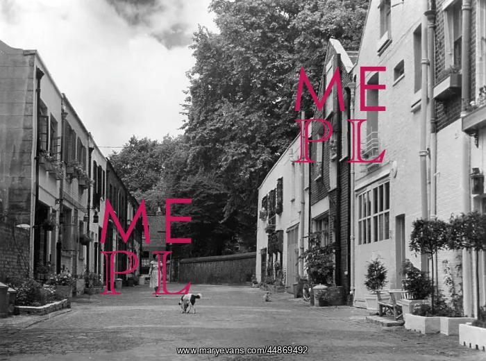 : ALBION MEWS LONDON : ALBION MEWS LONDON
