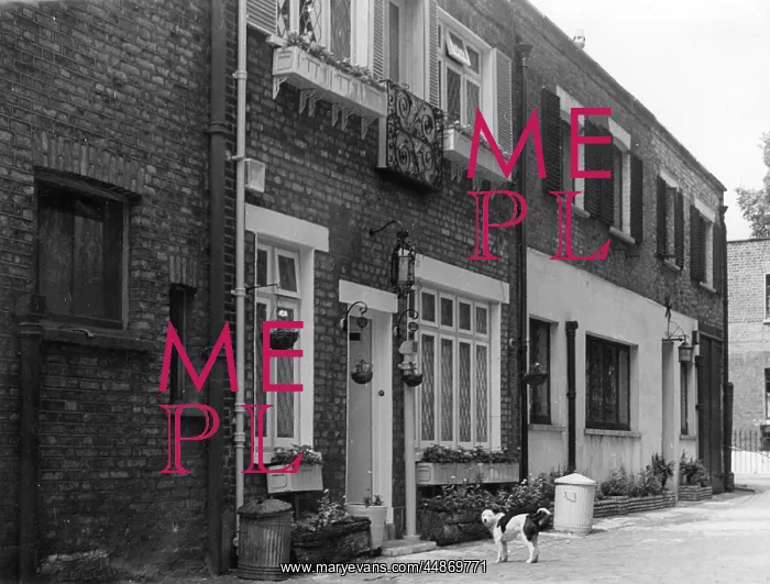 : ALBION MEWS LONDON : ALBION MEWS LONDON