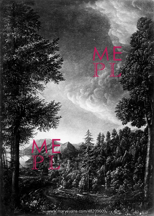  : Albrecht Altdorfer