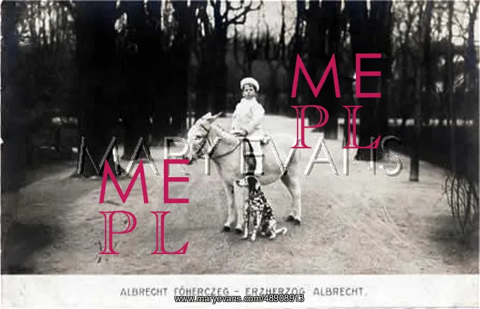 : ALBRECHT. DONKEY, DOG : ALBRECHT. DONKEY, DOG