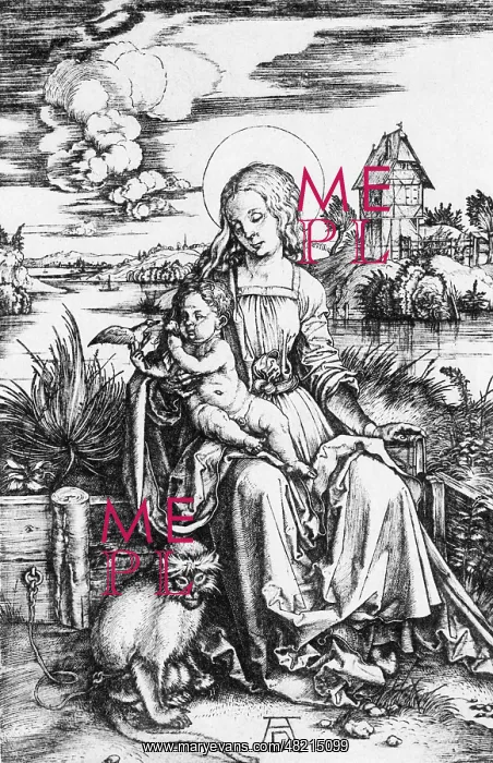: Albrecht Duerer : Albrecht Duerer