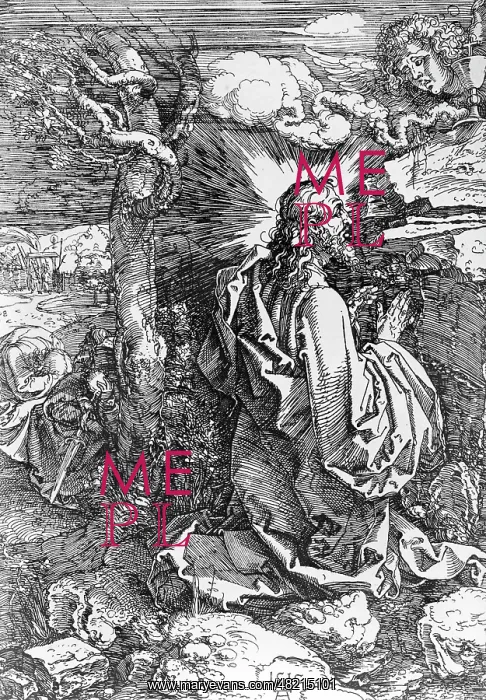  : Albrecht Duerer