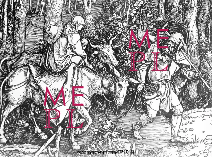 : Albrecht Duerer : Albrecht Duerer