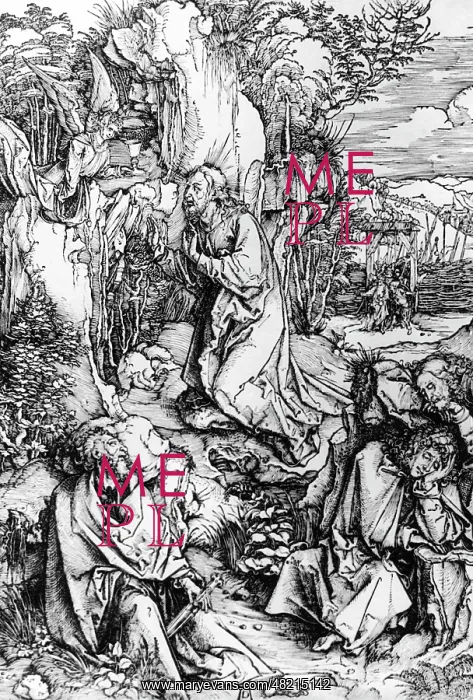 : Albrecht Duerer : Albrecht Duerer