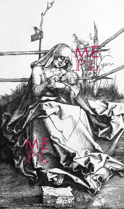 : Albrecht Duerer : Albrecht Duerer