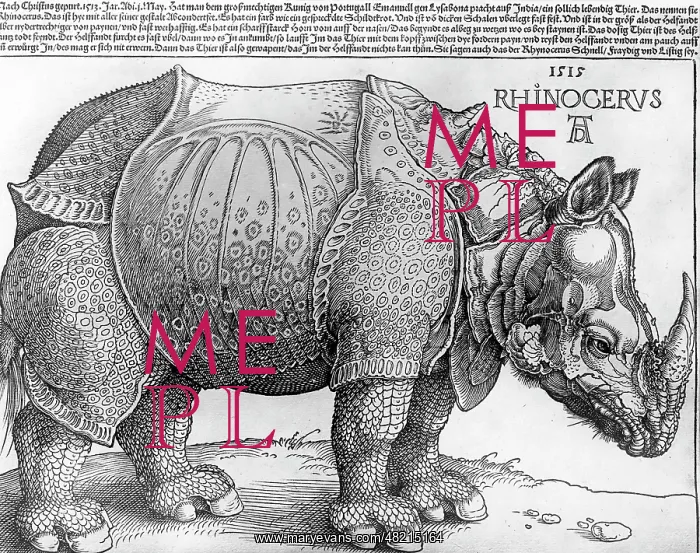 : Albrecht Duerer : Albrecht Duerer