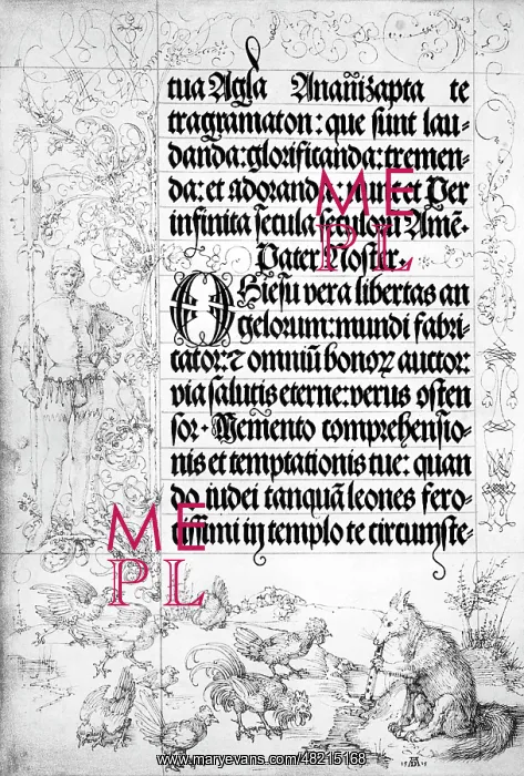 : Albrecht Duerer : Albrecht Duerer