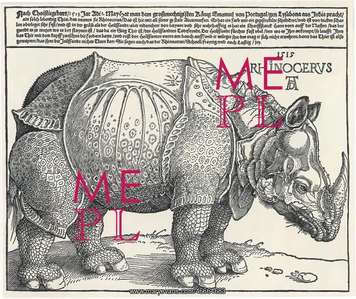 : Albrecht Durer's Rhinoceros : Albrecht Durer's Rhinoceros