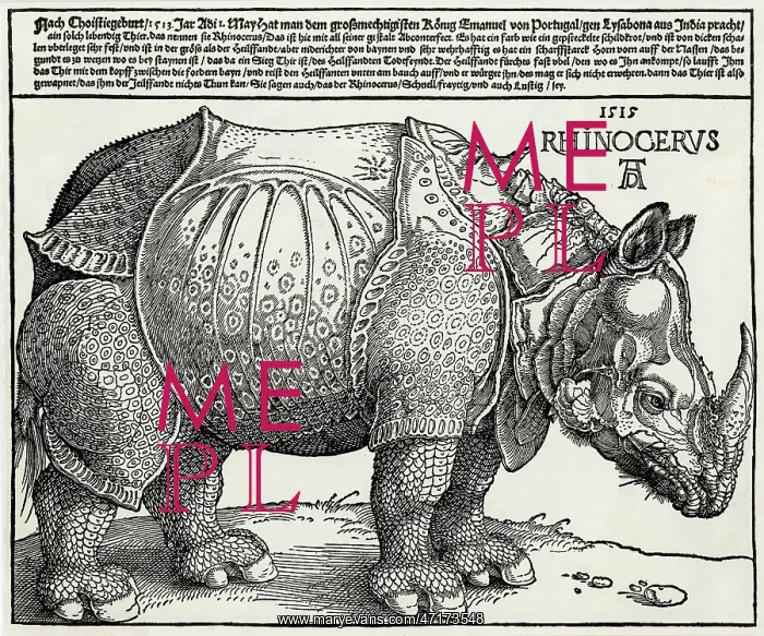 : Albrecht Durer's Rhinoceros : Albrecht Durer's Rhinoceros