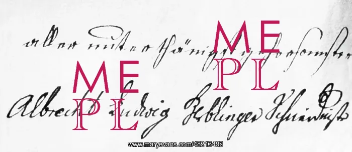 : Albrecht-Ludwig Berblinger : Albrecht-Ludwig Berblinger