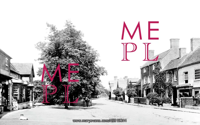  : Albrighton, Village 1898