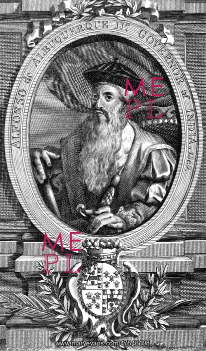  : ALBUQUERQUE SILVA