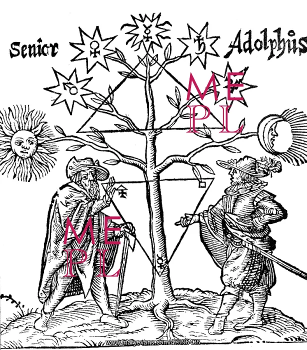 : Alchemical Celestial Tree : Alchemical Celestial Tree