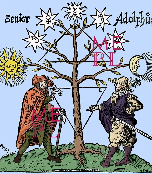 : Alchemical Celestial Tree : Alchemical Celestial Tree