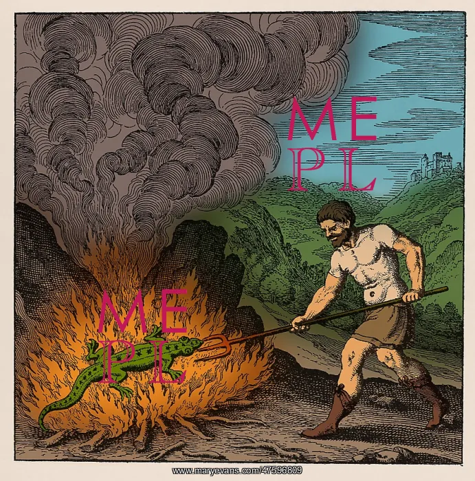: Alchemist Roasting Salamander, 18th Century : Alchemist Roasting Salamander, 18th Century