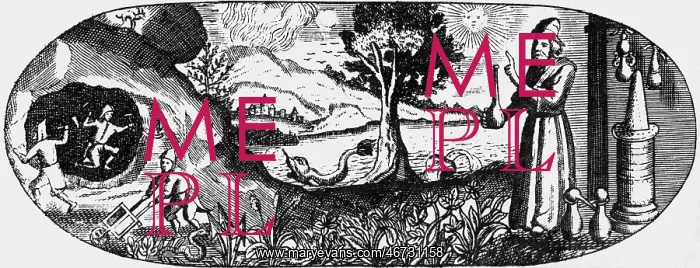 : alchemy, allegories, alchemistic procedures in : alchemy, allegories, alchemistic procedures in