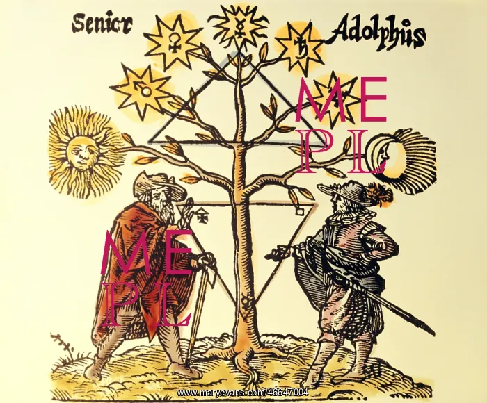 : alchemy, allegory, Senior and Adolphus under : alchemy, allegory, Senior and Adolphus under