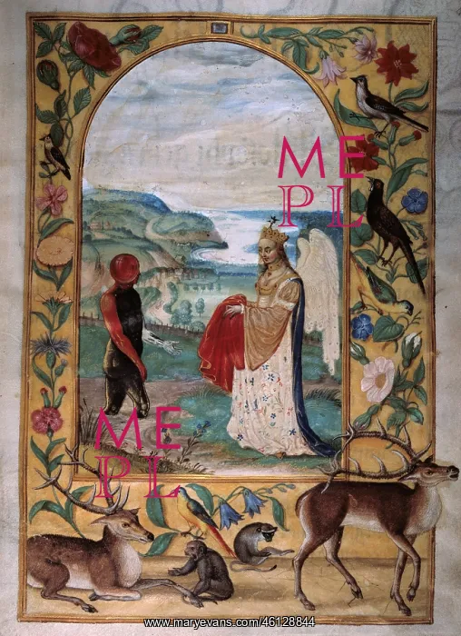 : alchemy, allegory, sublimation and purgation : alchemy, allegory, sublimation and purgation