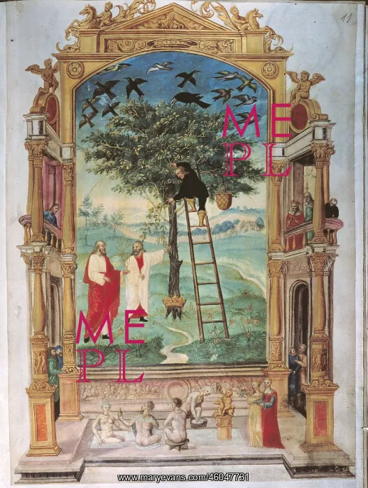 : alchemy, allegory, tree of life, Splendor Solis : alchemy, allegory, tree of life, Splendor Solis