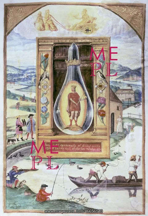 : alchemy, allegory, the young king in a vial : alchemy, allegory, the young king in a vial