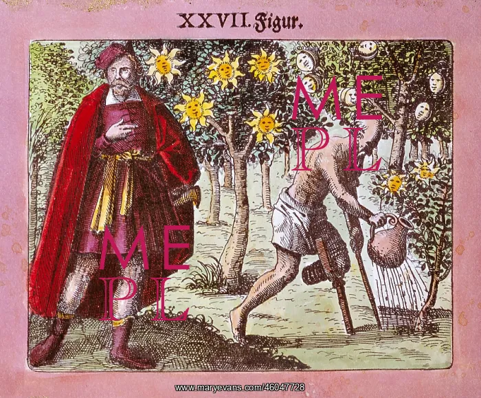 : alchemy, Michael Sendivogius, figure 27, Viridarium : alchemy, Michael Sendivogius, figure 27, Viridarium